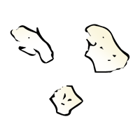 Microplastics: Foam and Styrofoam