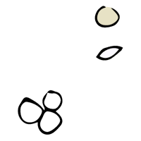 Microplastics: Nurdles