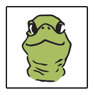 Green Sea Turtle ID photo