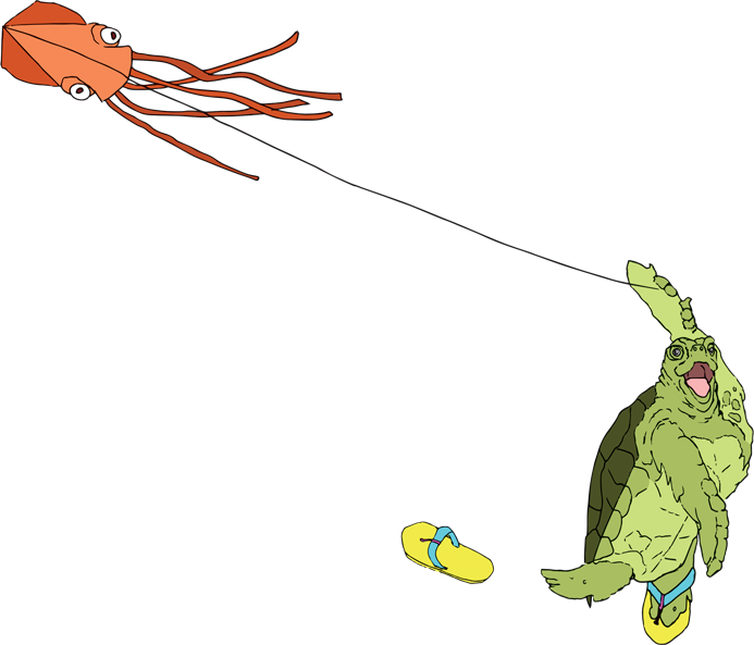 sea turtle with kite