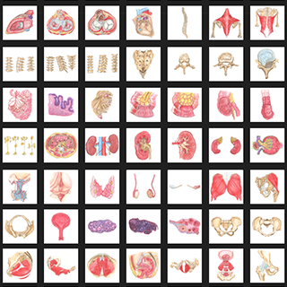 365 Day Drawing Challenges