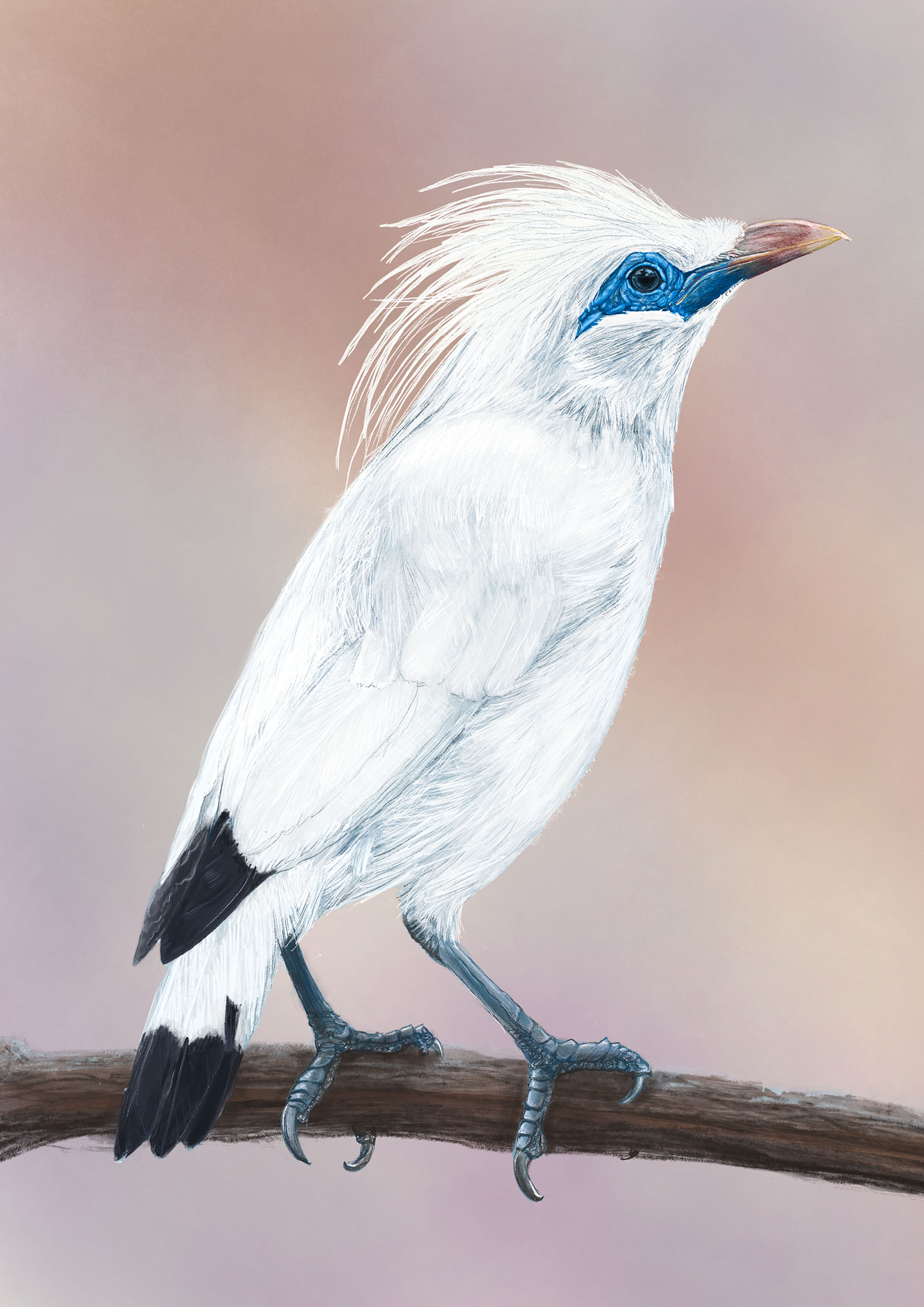 Body of Work Photography Series