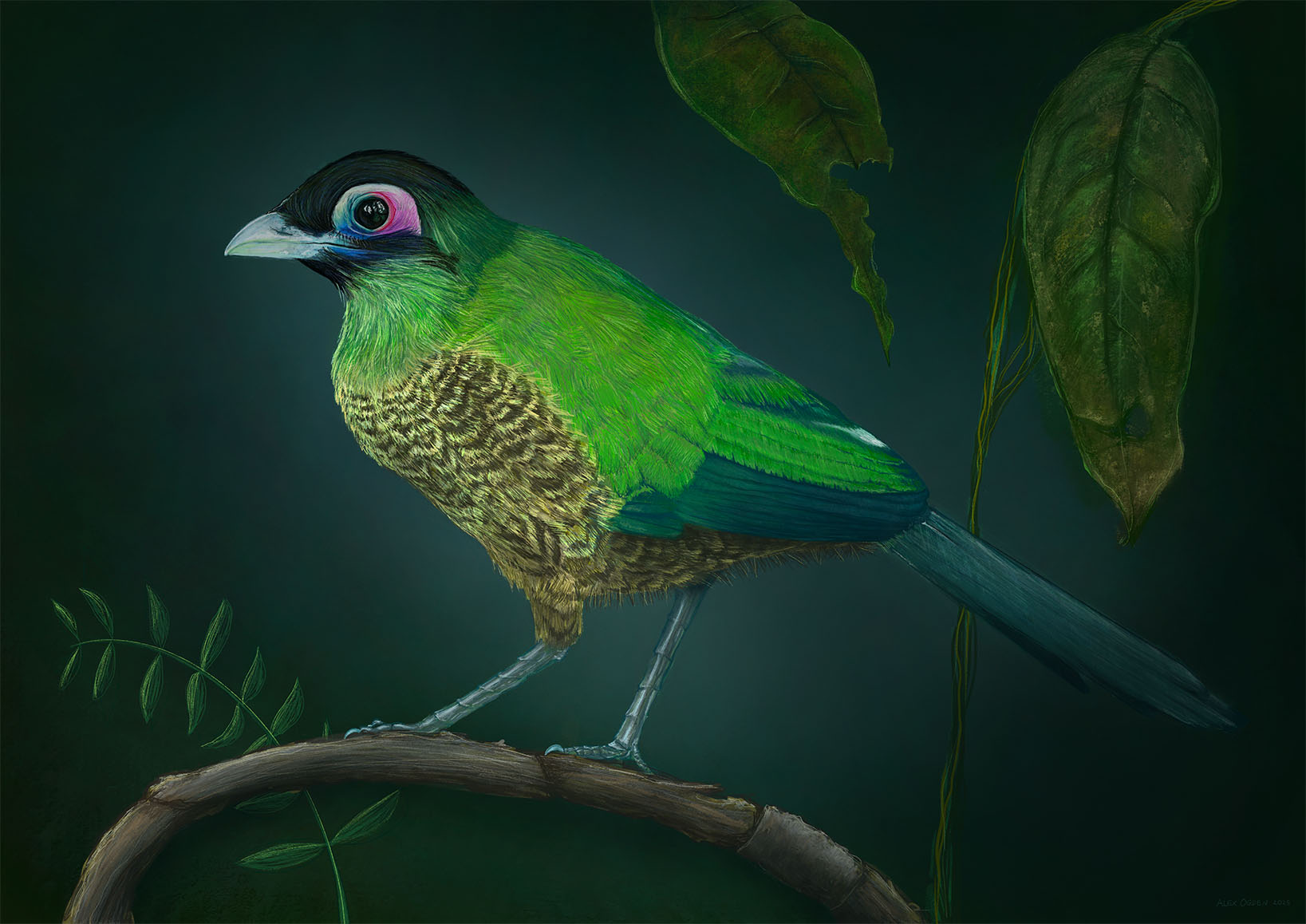 Body of Work Photography Series