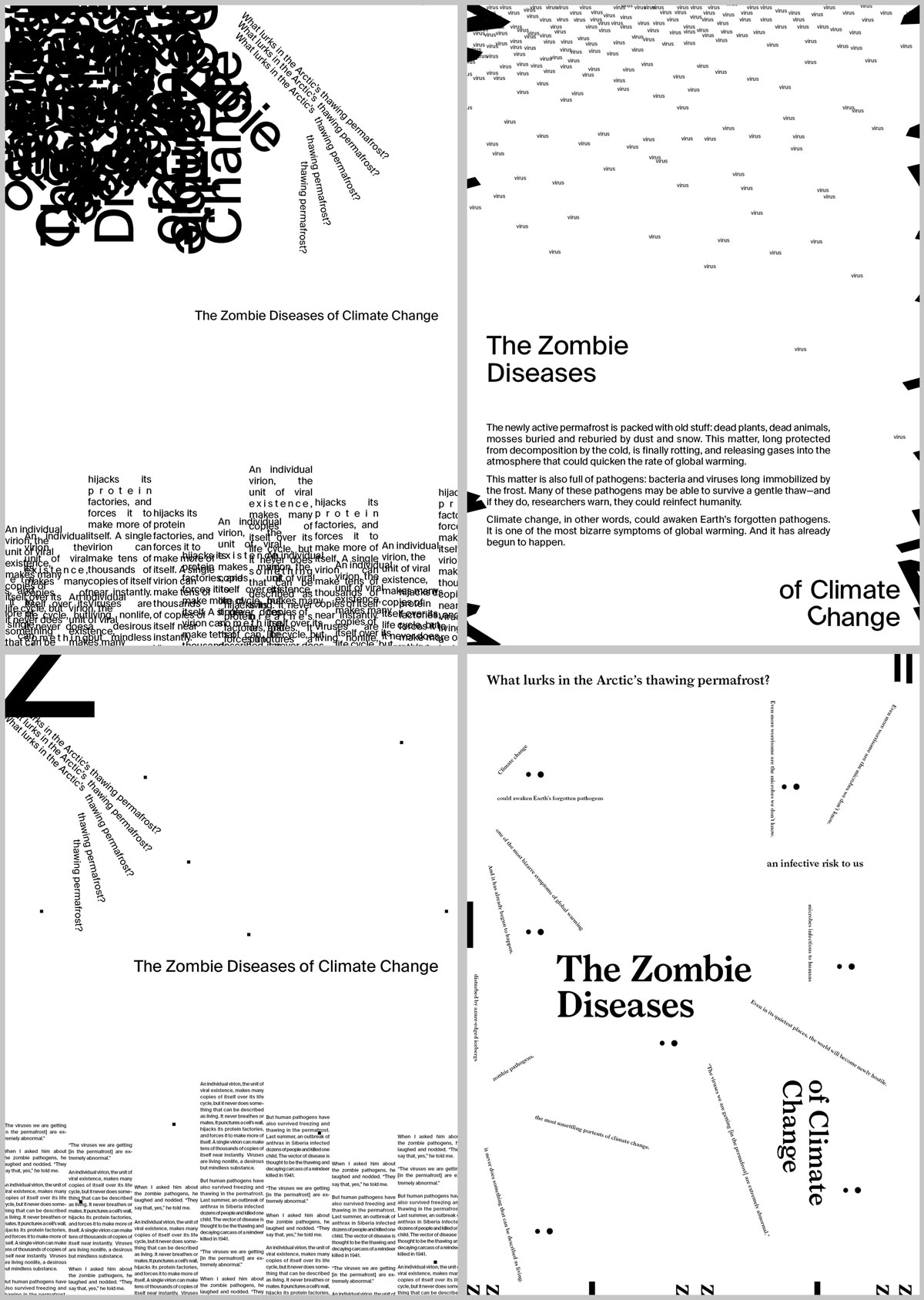 Poster Series: Climate Article Copy