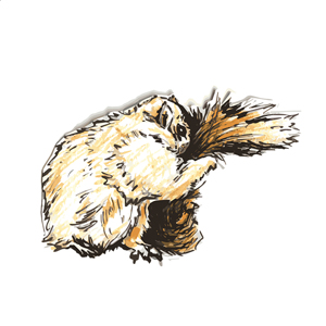 typography examples logo